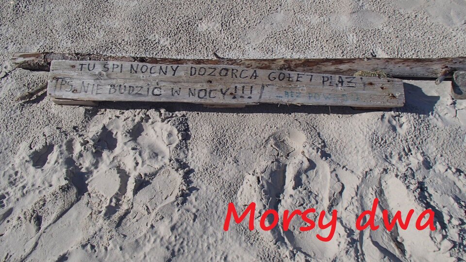 Dębki - jesienne. - Morsy_dwa