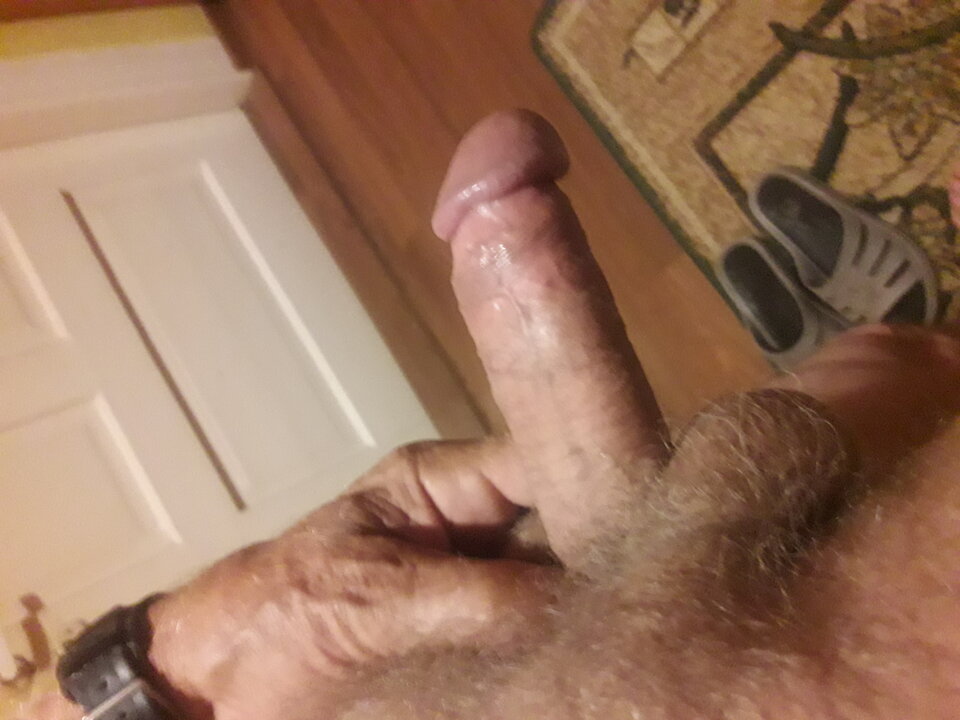 20230926_045527.jpg - brus13