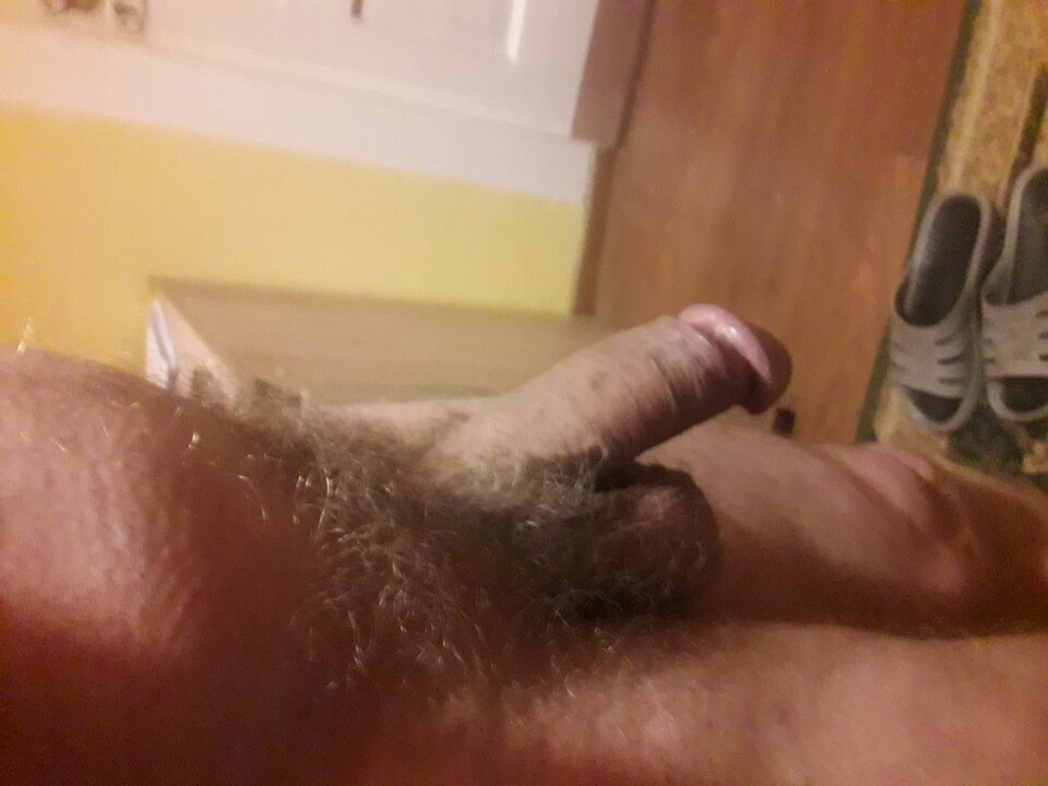 20230926_045549.jpg - brus13