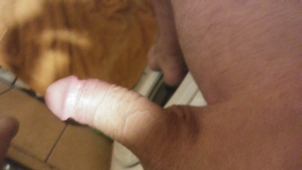 20230916_033024.jpg - ParaxxxWeo