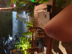 20220429_190557.jpg