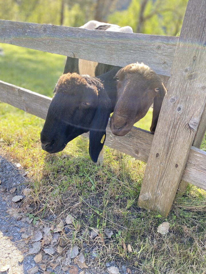 IMG_6055.jpeg - May_Day