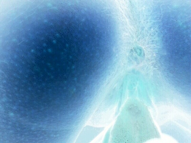 450562823434.jpg - ciekawscymy69