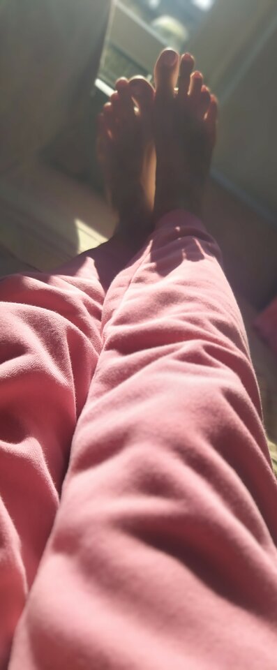 IMG_20230927_151729~2.jpg - avocadoZpestka