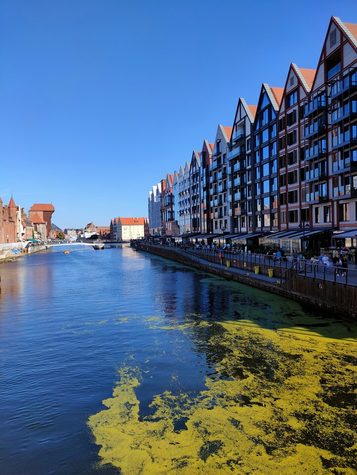 IMG20230916113931.jpg - merkury40