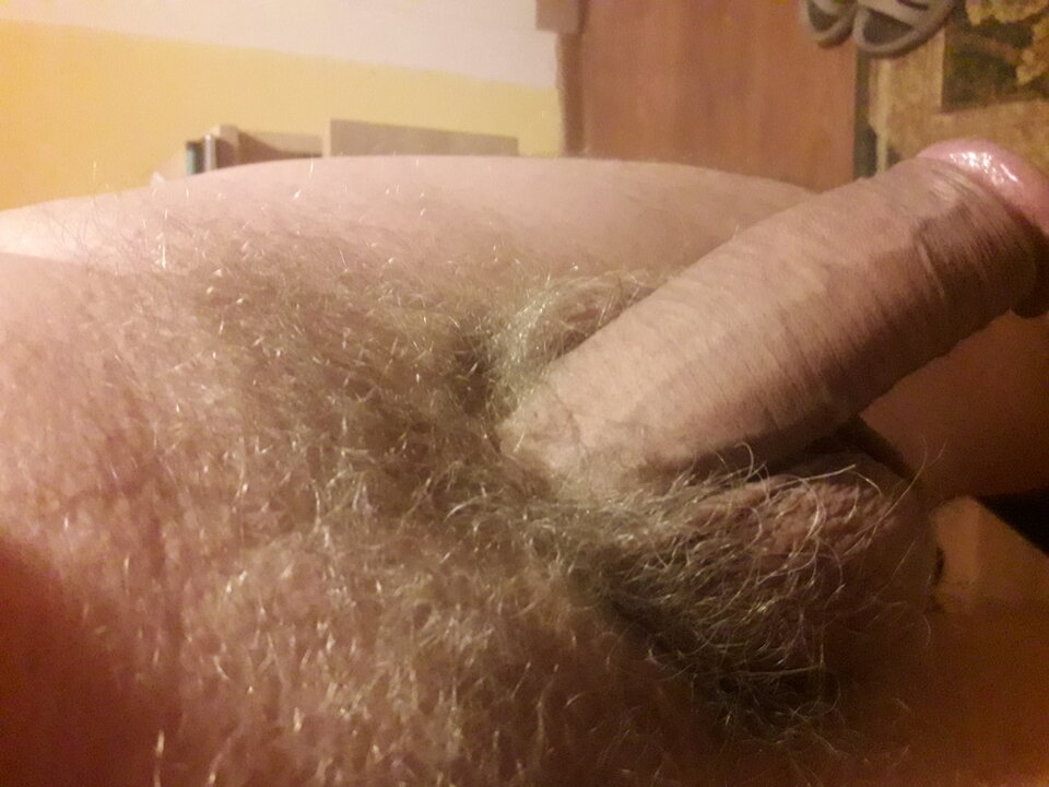 20230928_052116.jpg - brus13