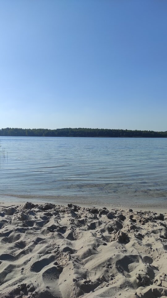 IMG_20230928_151219.jpg - LECOLE79