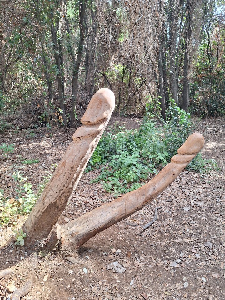 20230928_130540.jpg - megalove