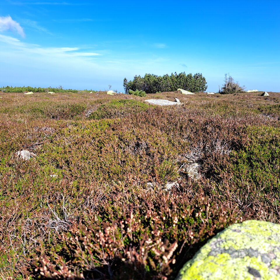 20230926_124600.jpg - Velv