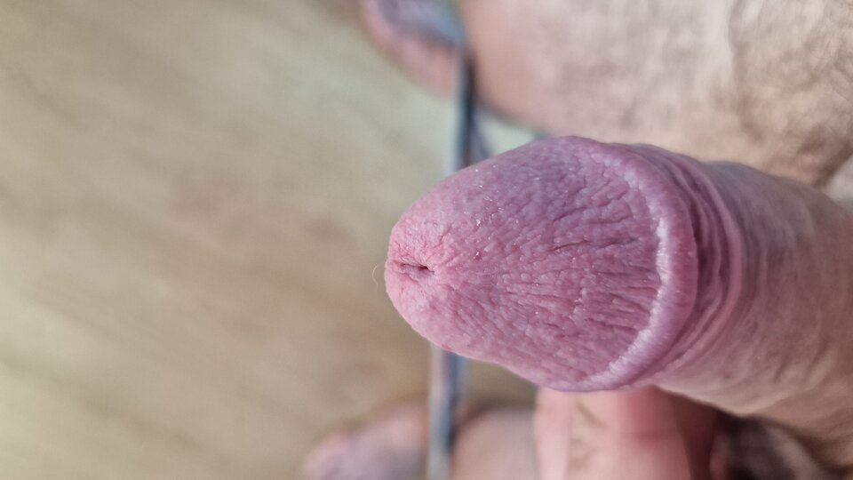 20230928_170310.jpg - KurierPol