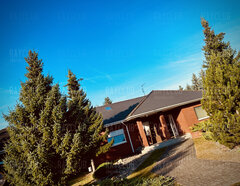 Ray Club Poznań 😈