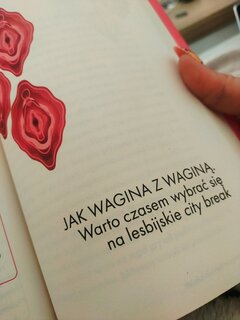SztukaObslugiWaginy.jpg