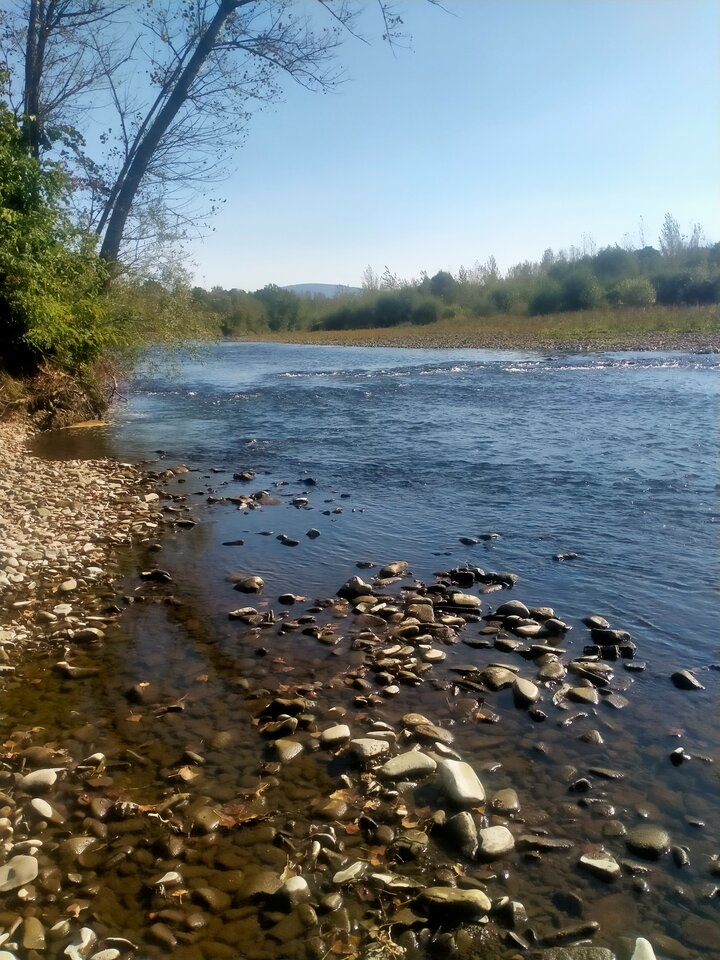 16959905770008725989505996682940.jpg - maniana35