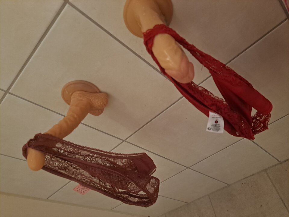 16960025783825532473432093301449.jpg - rafal1410