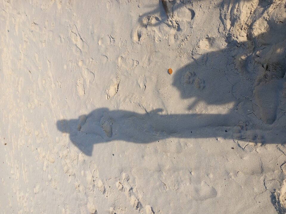 20230928_153025.jpg - uleglypsiak1