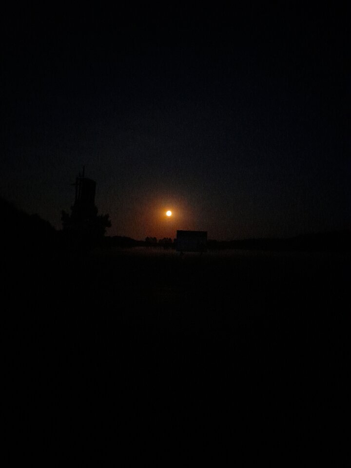 20230929_191804.jpg - Ambrozja2