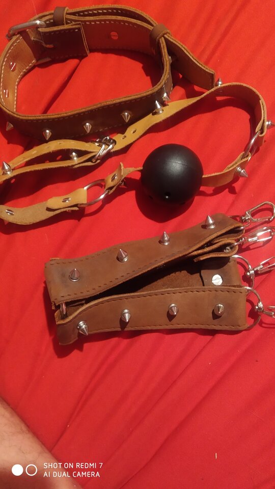 IMG_20230929_230601.jpg - TymoteuszNoc