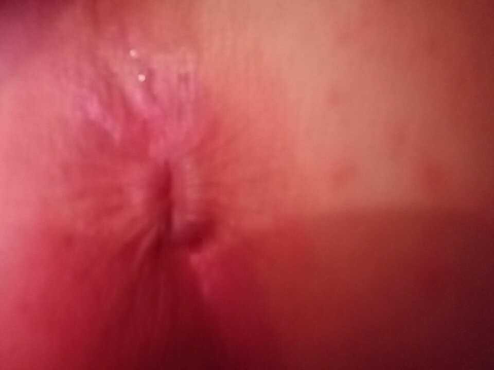 IMG_20230930_001645.jpg - Zwinny987