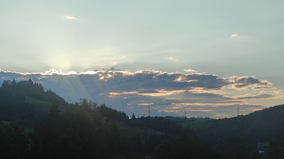 IMG_1694880477177.jpg - NicponieFest