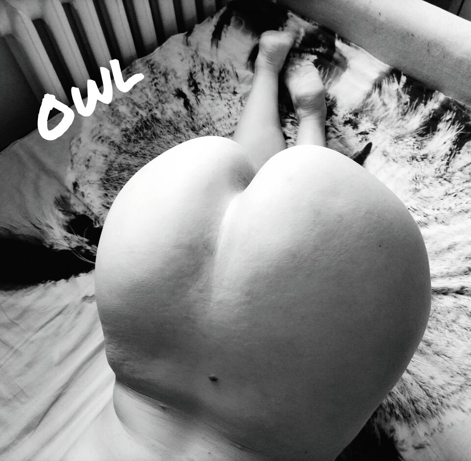🍰🍾.jpg - OwlsSoul