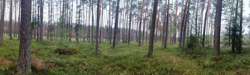 PANO_20230930_133205.jpg - Pozytywny1317