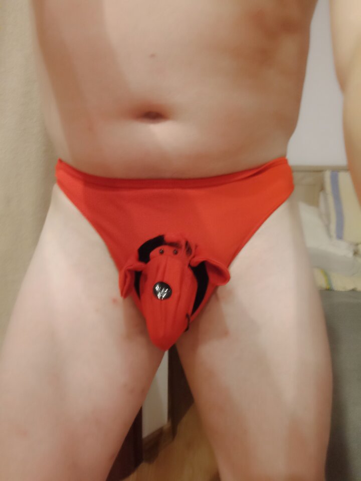 IMG_20230930_193247.jpg - premier4442