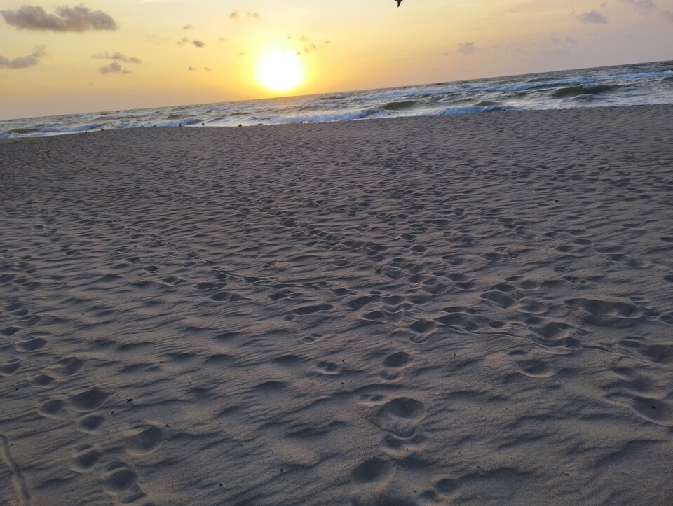 IMG_20230930_181823.jpg - 666milusi666