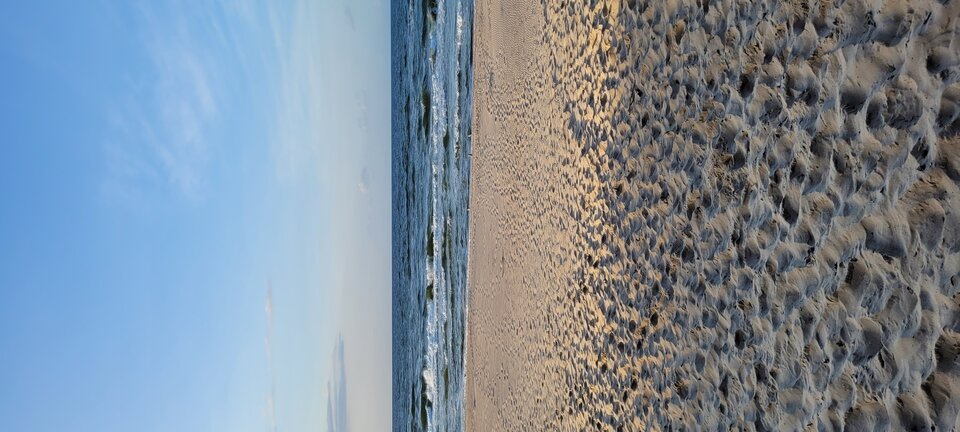 20230930_173844.jpg - Naturysta72