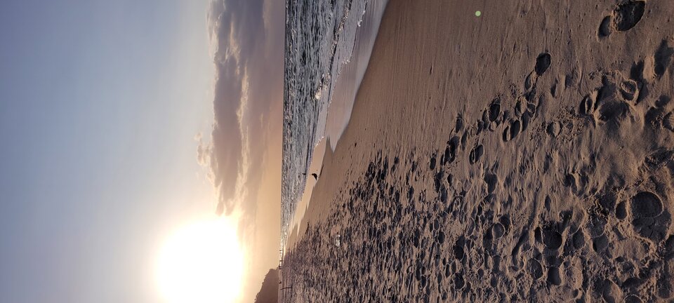 20230930_173541.jpg - Naturysta72