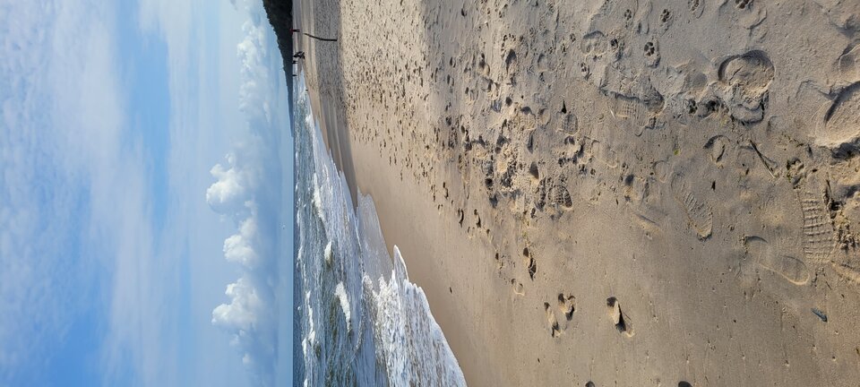 20231001_102924.jpg - Naturysta72