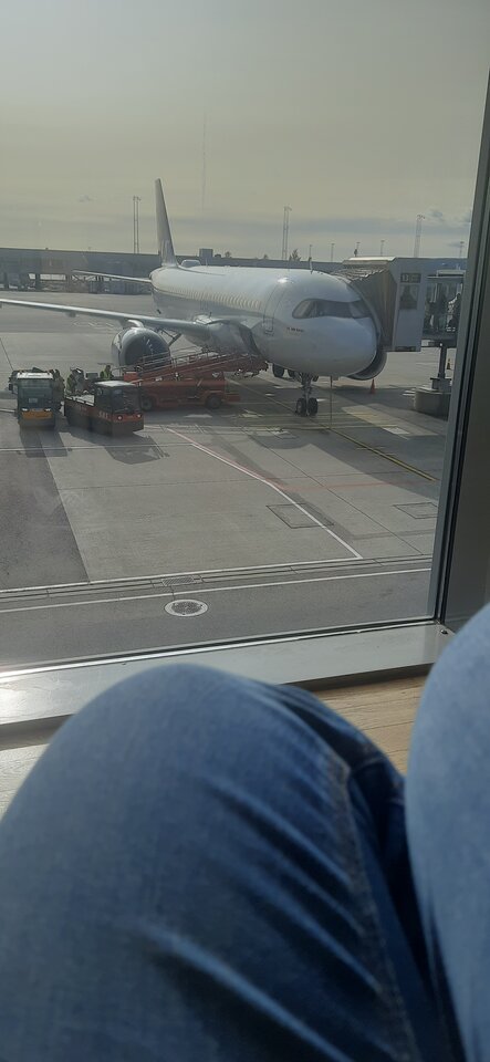 16961617650524826780129459895665.jpg - Palciusia