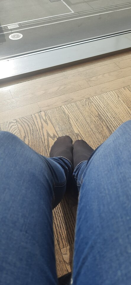 1696162365528582607461942440174.jpg - Palciusia