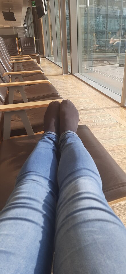 16961627074256143974753384475264.jpg - Palciusia