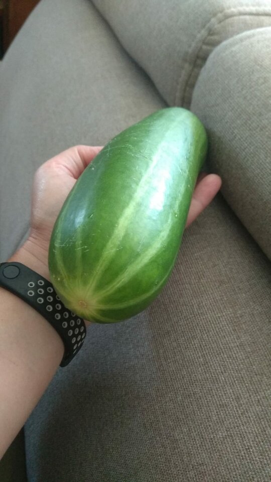 1000026304.jpg - Sukakurwi