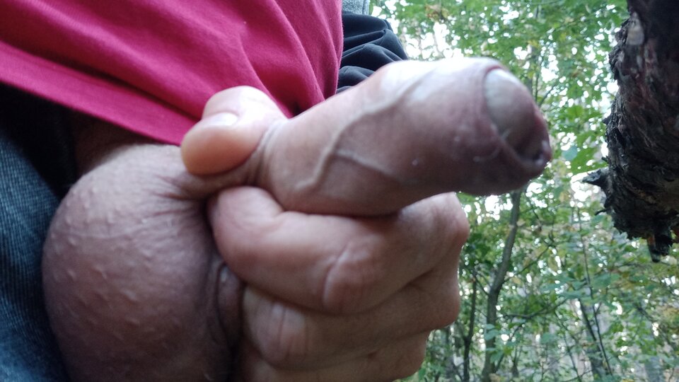 16961758163389221851760416012432.jpg - eroteooo