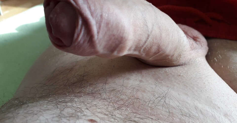 received_260076173475143.jpeg - Robertd14