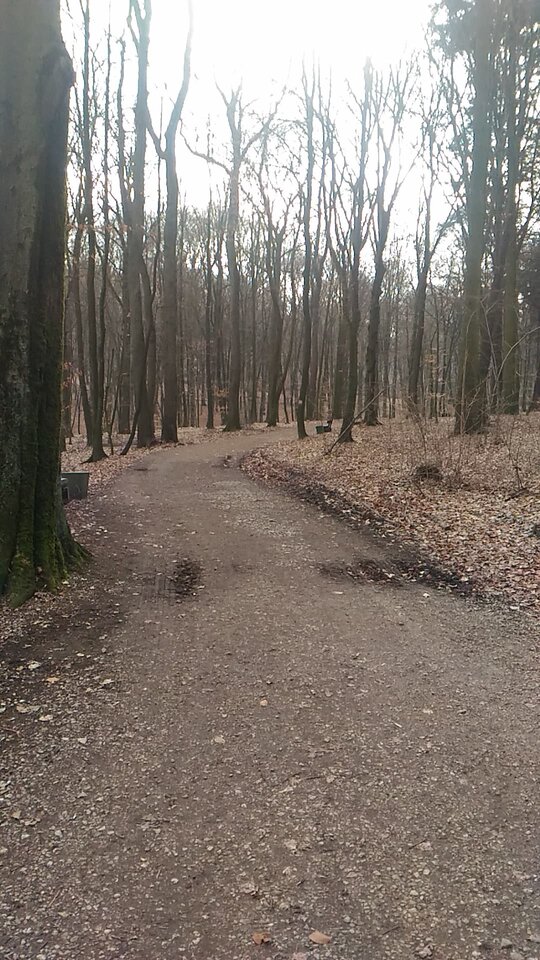 received_419099412187617.jpeg - Nicci