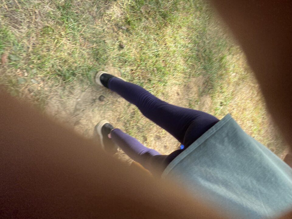 IMG_7474.jpeg - Malamajtki