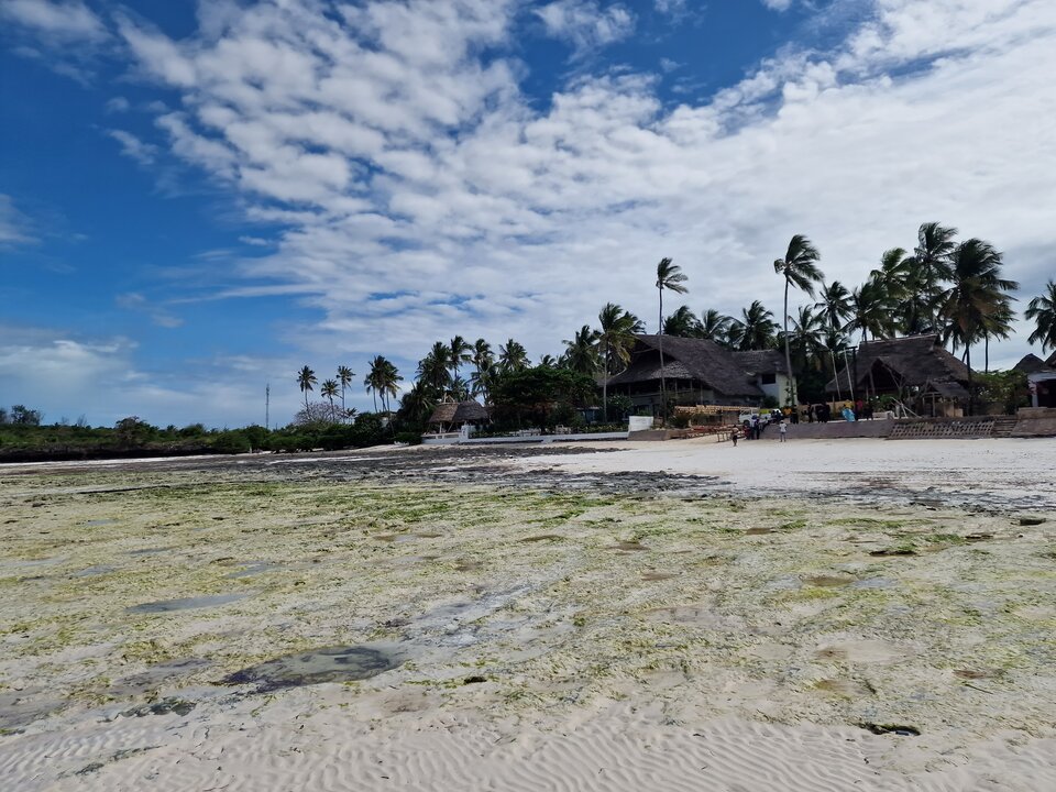 Wczasy - KiciKiciCouple