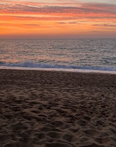 IMG_8765.jpeg