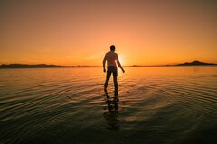 sunset-6159944_1280.jpg