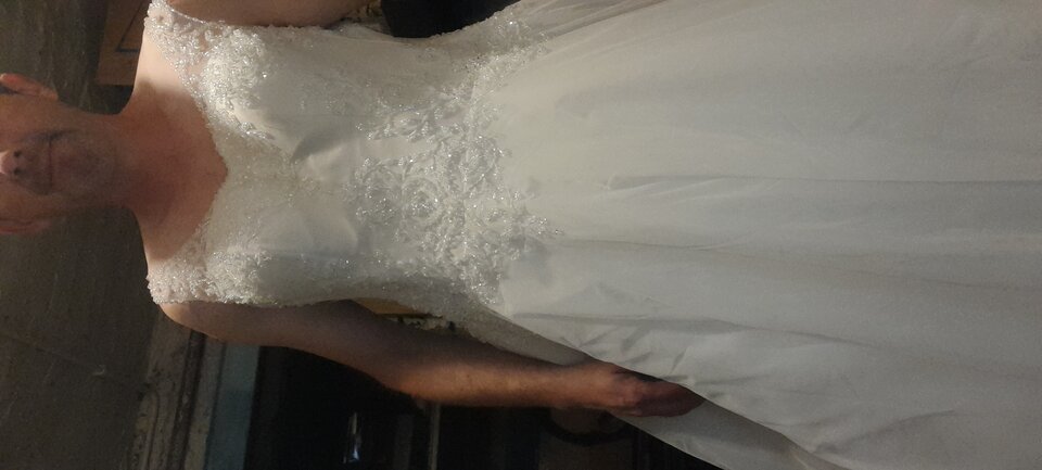 20231004_165859.jpg - Tygrys4040