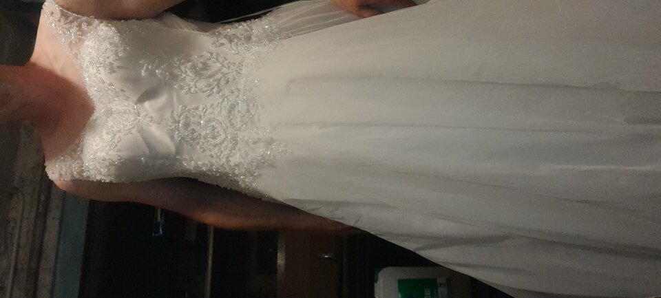 20231004_165916.jpg - Tygrys4040