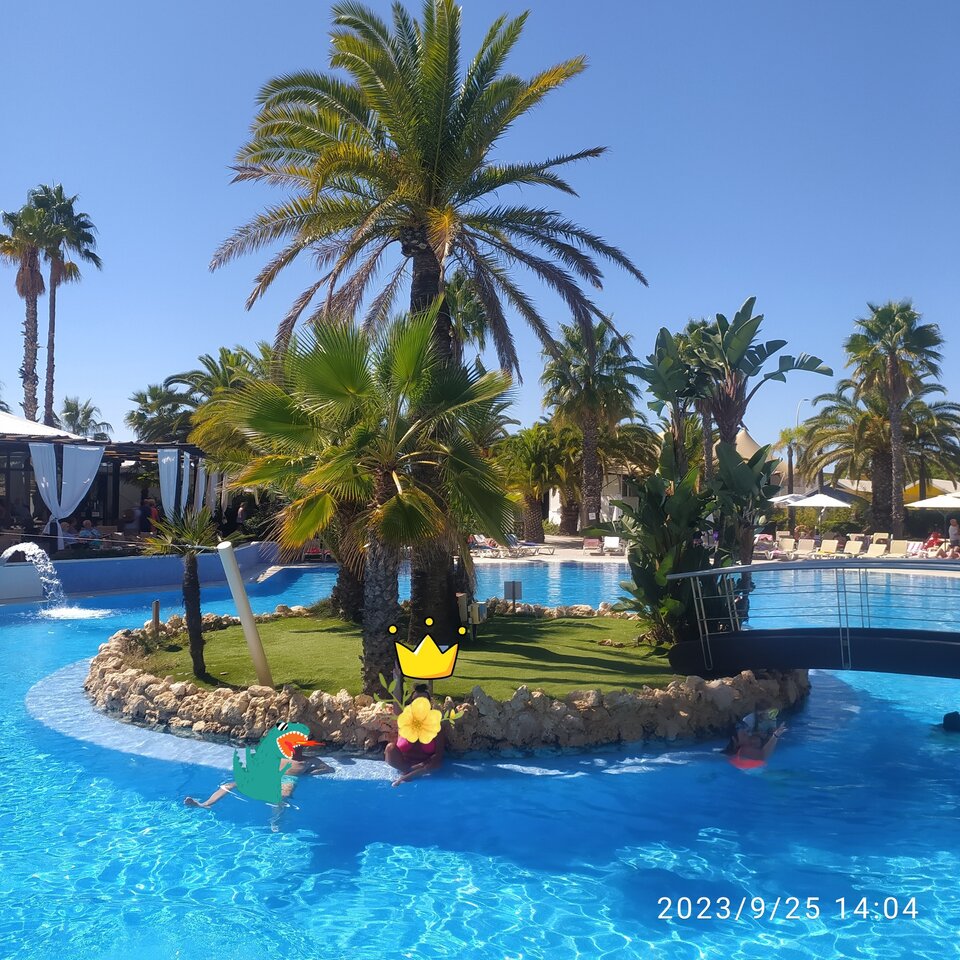 IMG_20231005_213730.jpg - nudysci74