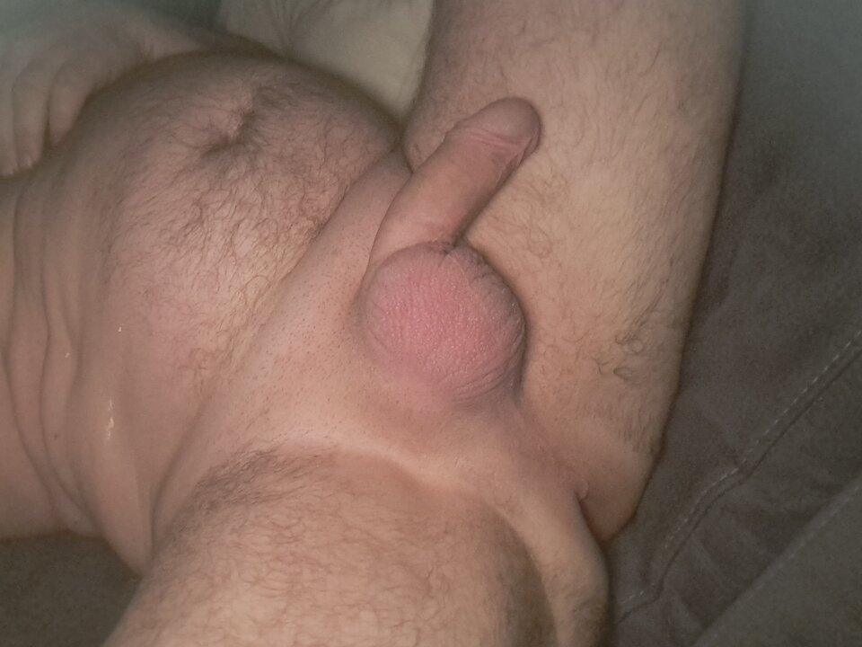 20231006_051413.jpg - Panipani2021