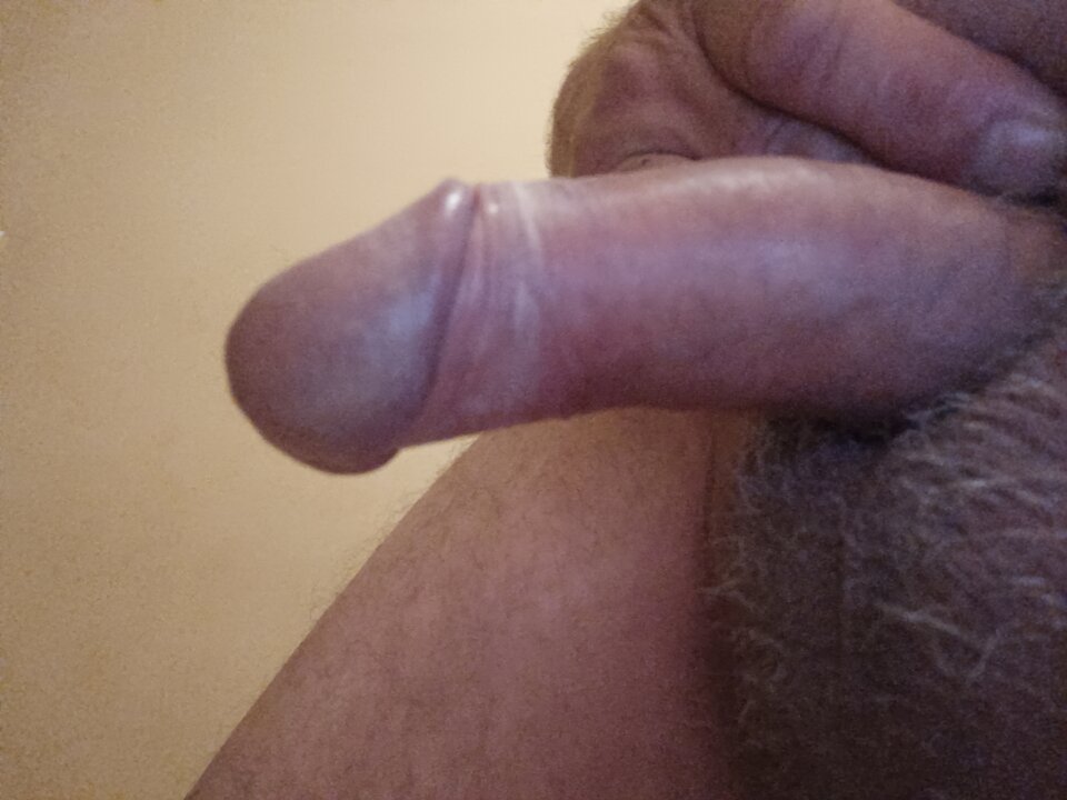 16965684191305538597791456499962.jpg - ardas1