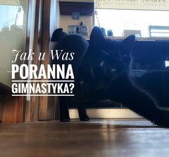 Gimnastyka 🐈‍⬛