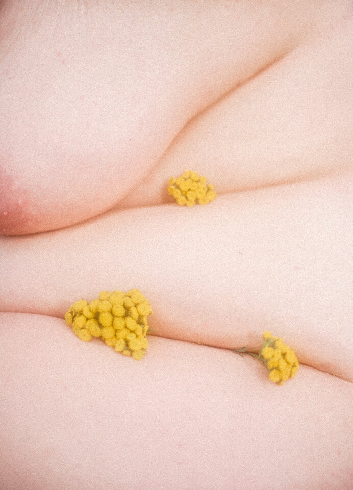 Z* - ZrobmyLadneRzeczy