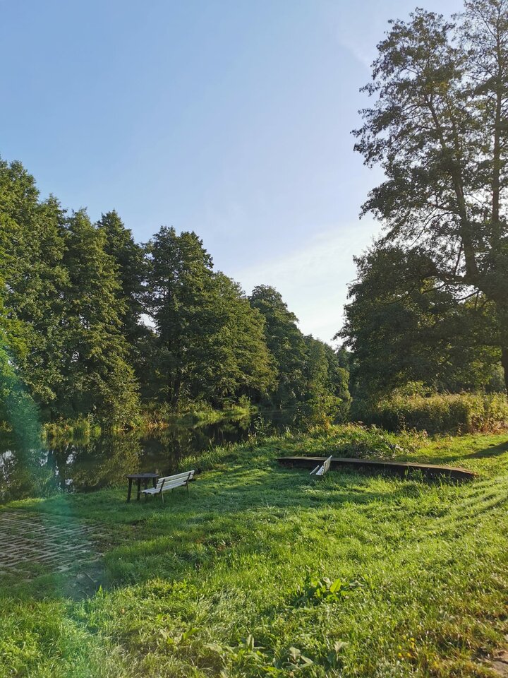 IMG-20231006-WA0020.jpg - Myszka_nie_szara