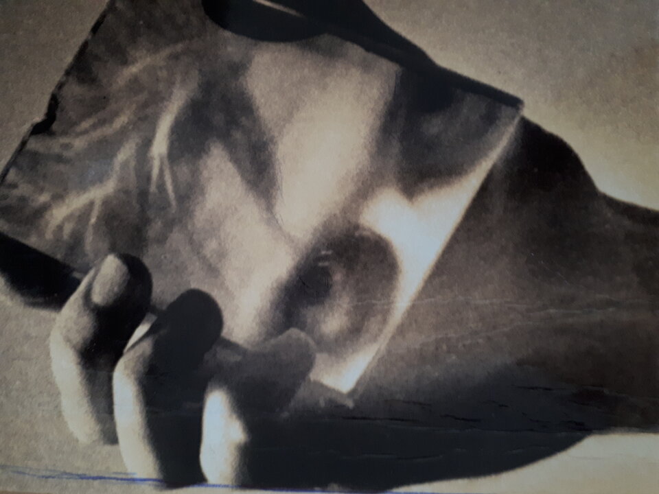 20231007_103504.jpg - Tom7203